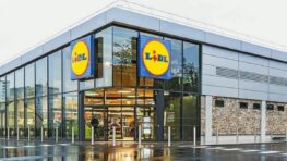 Le store Lidl qui vous protège du froid, du soleil et des regards indiscrets