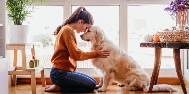 Les chiens peuvent différencier les gens méchants et les bonnes personnes