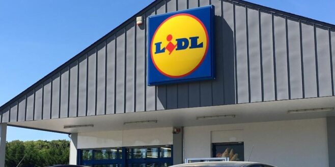 Lidl prépare déjà l'été et vous aide à faire vos propre glace