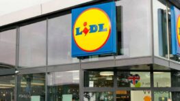 Lidl protège votre canapé des griffures avec à ce super banc à gratter pour chat