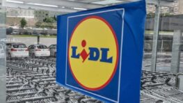 Lidl relooke et organise votre cuisine avec cet élégant ensemble de plateaux