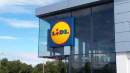 Lidl transforme votre chambre avec cette housse de couette printanière