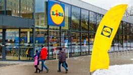 Lidl va ranger tous vos câbles qui traient avec cet appareil