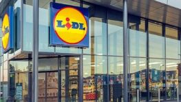 Lidl vous aide à faire des économies de chauffage grâce à son store thermique à prix mini