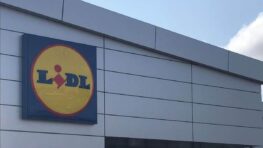 Lidl vous aide à faire le ménage sans efforts avec cet aspirateur multifonctions