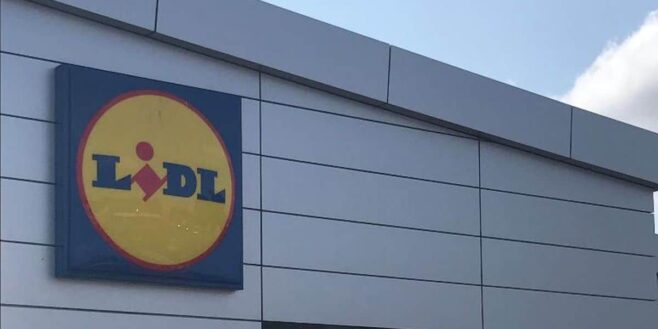 Lidl vous aide à faire le ménage sans efforts avec cet aspirateur multifonctions