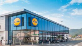 Lidl vous transforme en créateur haute couture avec se nouvelle machine à coudre