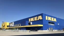 L'oreiller Ikea le plus populaire disponible en 8 couleurs pour moins de 5 euros