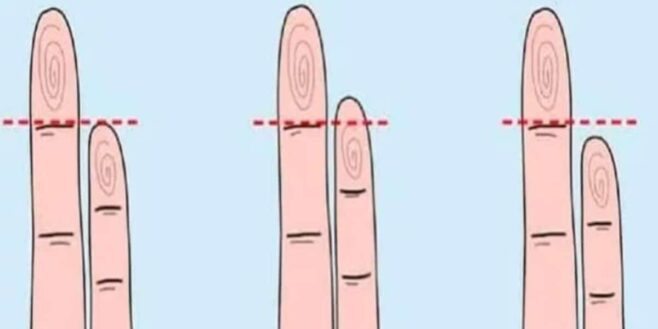Test de personnalité la taille de votre petit doigt révèle un secret sur vous