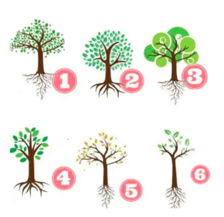 Test de personnalité: l'arbre que vous choisissez révèle votre façon d'être