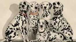 Test de rapidité saurez-vous trouver le panda en moins de 5 secondes