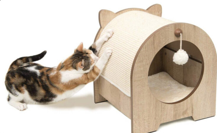 Lidl vous aide à protéger votre canapé des griffures grâce à ce super banc à gratter pour chat