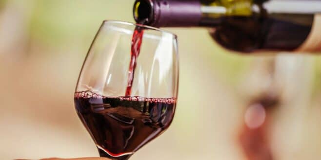 60 millions de consommateurs conseille ce vin rouge à moins de 8 euros il est très bon rapport qualité prix