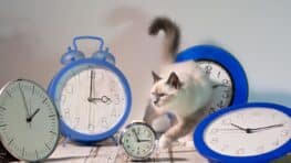 Date et raisons du dernier changement d'heure d'été 2024