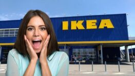 Ikea lance le sac isotherme rétro et trop stylé parfait pour pique niquer partout