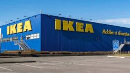 Ikea lance un porte-manteau cactus pour accrocher toutes vos vestes et manteaux