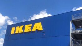 Ikea purifie votre logement avec cette magnifique plante