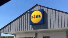 Le mixeur à bras vintage Lidl pour cuisiner comme un chef