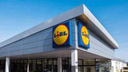Le store plissé thermique Lidl pour faire de grosses économies de chauffage