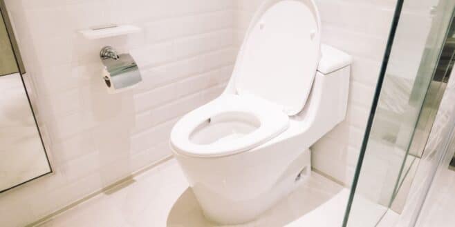 Les WC classique c'est fini et voici ce qui va les remplacer