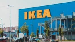 Les tapis à poils ras Ikea pour le salon toujours aussi tendances