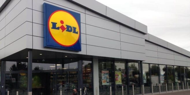 Lidl relance la glacière la plus vendue chaque été