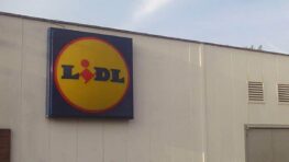 Lidl vous aide à profiter des terrasses, balcons et jardins en toute intimité