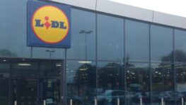 Reposez-vous bien dans votre jardin ou la terrasse avec cette chaise longue Lidl