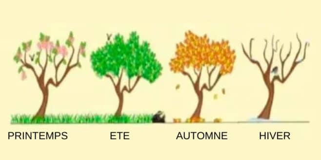 Test de personnalité: la saison de votre naissance révèle si vous êtes une personne sensible