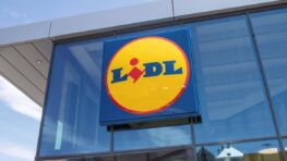 Ces produits Lidl dangereux à ne plus jamais achetés selon UFC-Que Choisir
