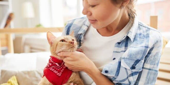 Cette lourde amende pour les propriétaires de chats qui ne respectent pas cette règle