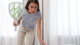 Débarrassez vous rapidement des moucherons dans votre cuisine avec cette astuce imparable