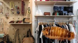 Exterminer les anthrènes qui font d'énormes dégâts dans vos placards