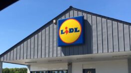 Fini les piqures de moustiques la nuit avec ce nouveau produit Lidl