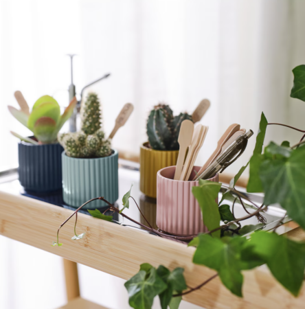 Ikea vend les cache-pots les plus mignons de la saison pour vos plantes