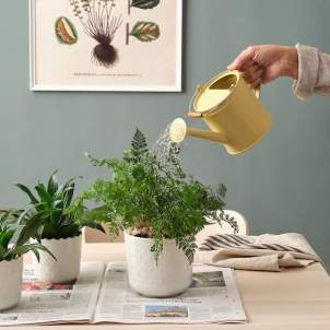 Ikea frappe fort avec son arrosoir très léger pour prendre soin de vos plantes-article