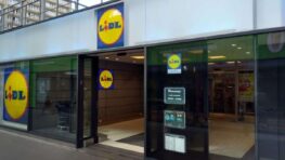 Le store extérieur Lidl qui vous protégera de la chaleur et des regards indiscrets