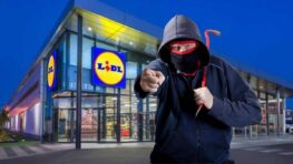 Lidl protège votre maison des cambrioleurs pour moins de 20 euros