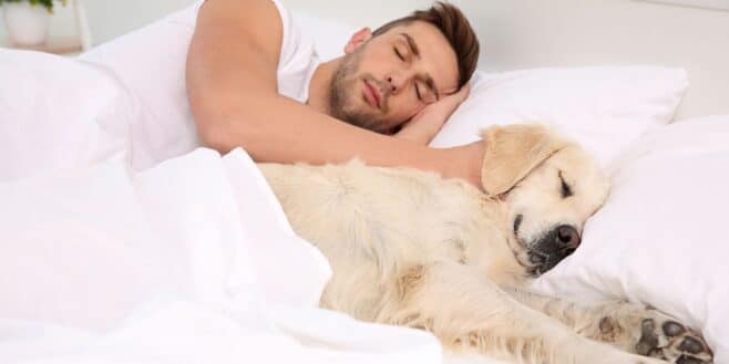 Peut-on, oui ou non, dormir avec son chien sans danger sur la santé ?
