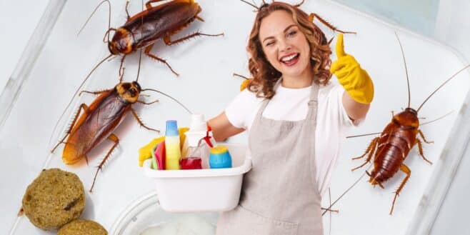 Préparer le répulsif maison qui éliminera les cafards et les insectes de votre maison