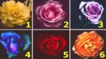 Test de personnalité: la fleur que vous choisissez révèle votre plus grande qualité