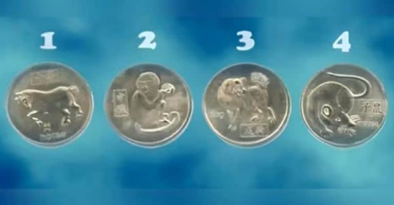 Test de personnalité : la pièce que vous préférez dévoile votre plus belle réussite de l'année