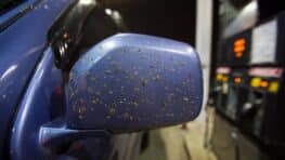 Éliminez facilement toutes les traces d'insectes écrasés sur votre voiture avec ce produit pas cher et naturel