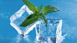 L'astuce infaillible pour empêcher vos glaçons de fondre trop vite