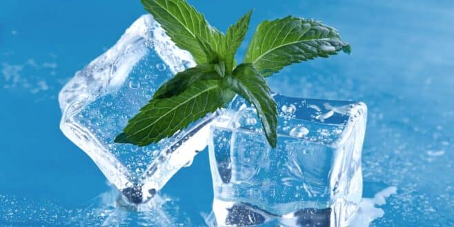 L'astuce infaillible pour empêcher vos glaçons de fondre trop vite