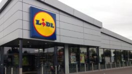 Le meilleur fauteuil Lidl pour lire ou regarder la télévision