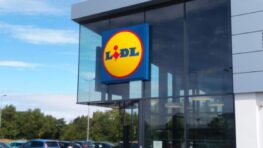 Le polo Lidl pour homme le plus stylé du moment à moins de 7 euros