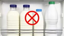 Ne mettez plus jamais le lait dans la porte de votre frigo