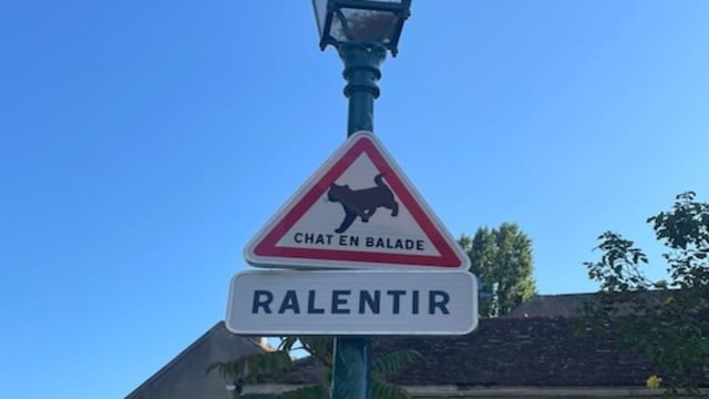 Ce panneau avec un chat dessus rend fou tous les conducteurs