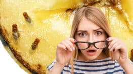 Débarrassez-vous de tous les moucherons avec cette astuce super simple